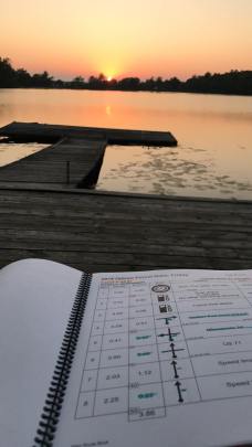 42936425_255568518484014_7299953302223978496_n