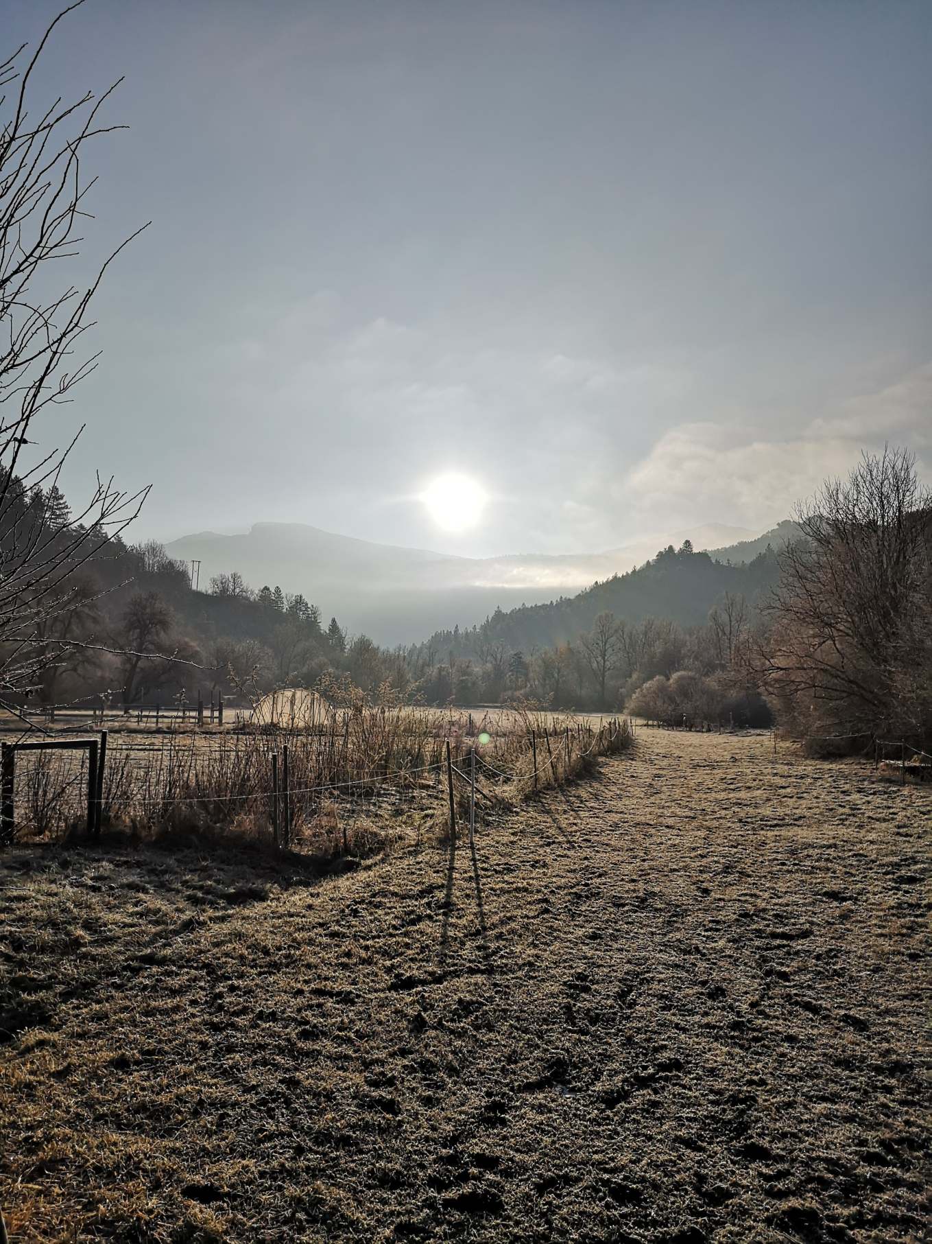 50439809_2154308407960736_2882104608178569216_n