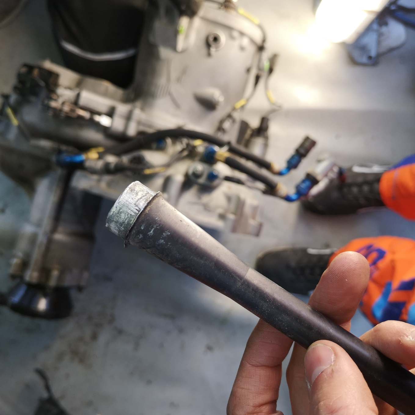 50894916_2235363403406235_5001891601224564736_n