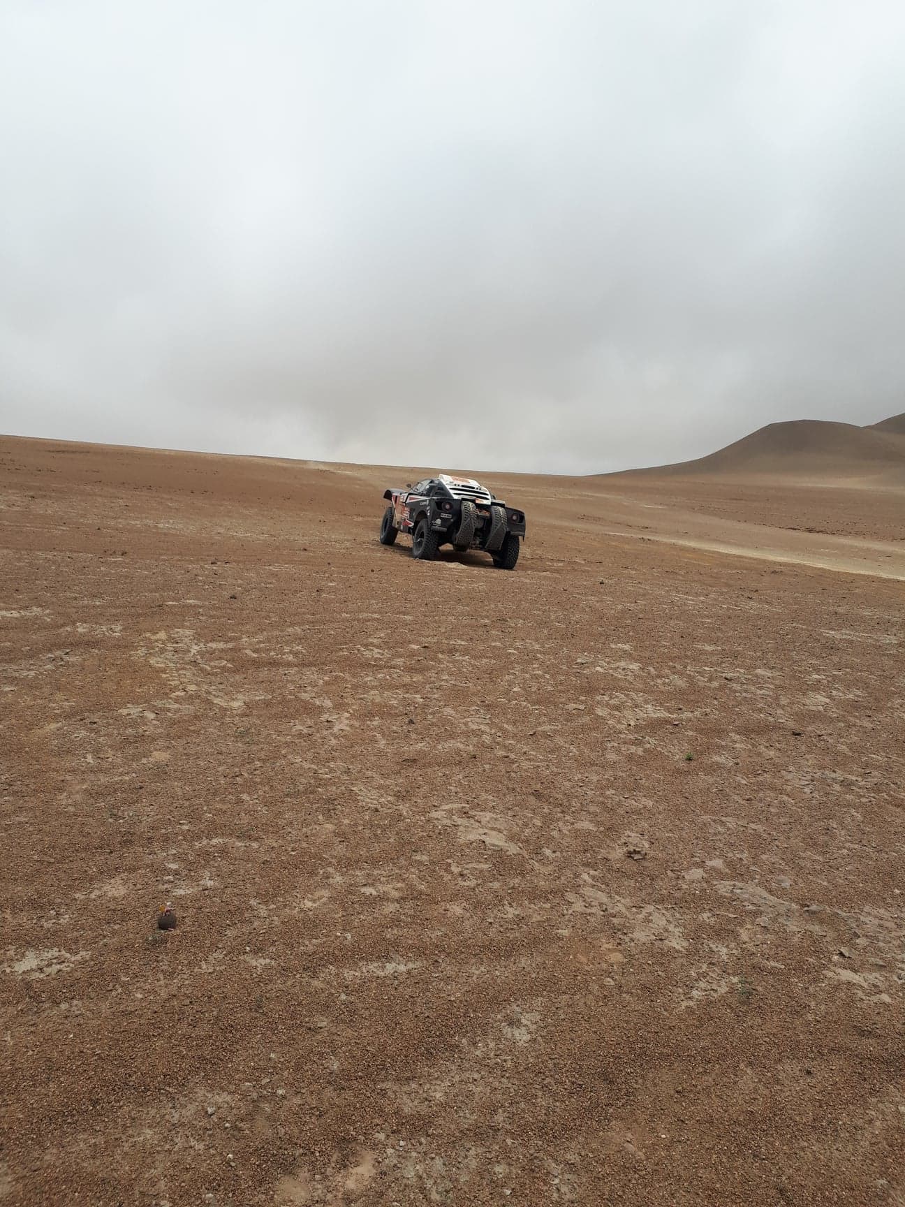 51461776_264249097823097_1880681769926131712_n