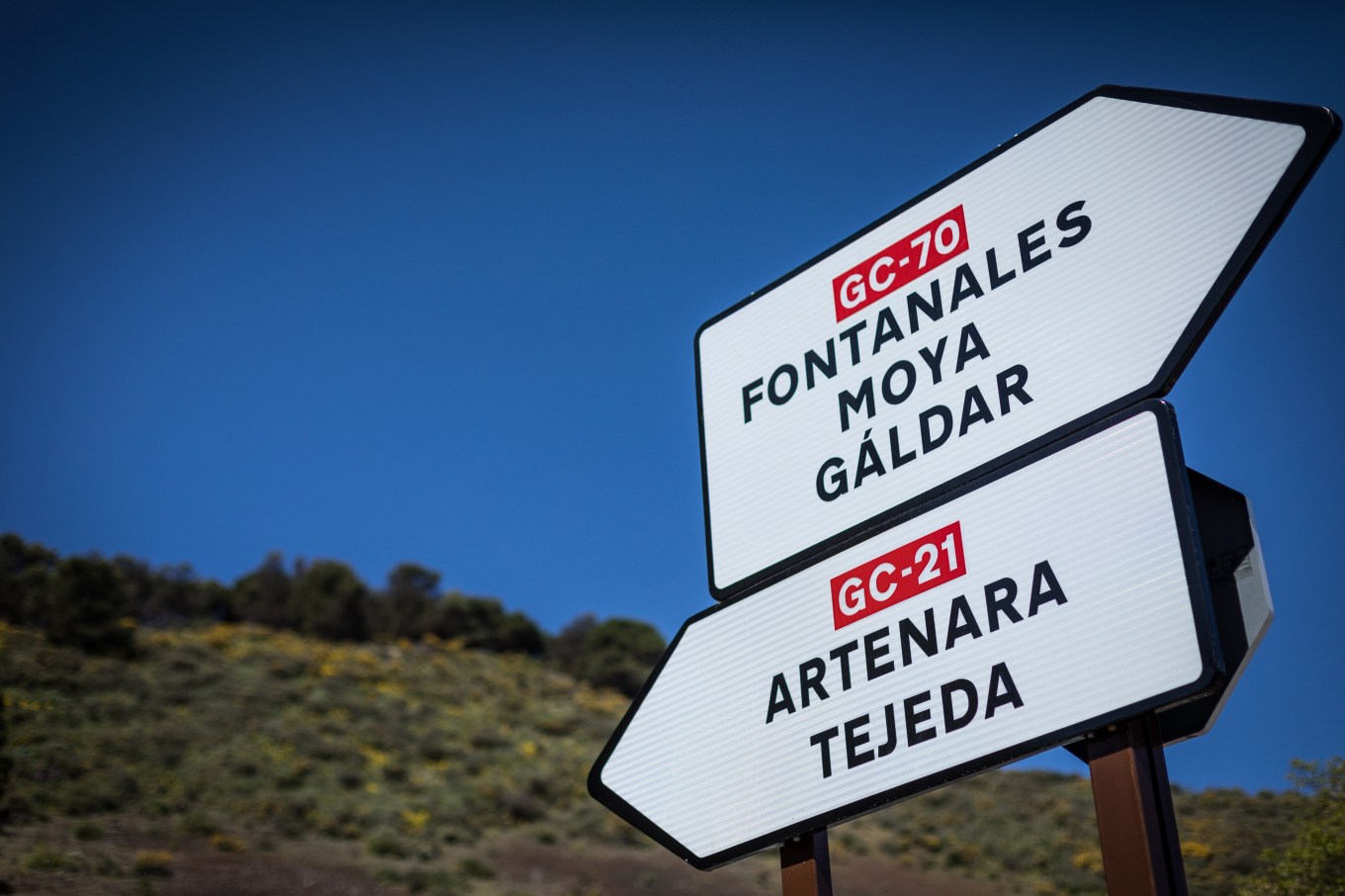 57039853_351837015449785_3934454673250975744_n