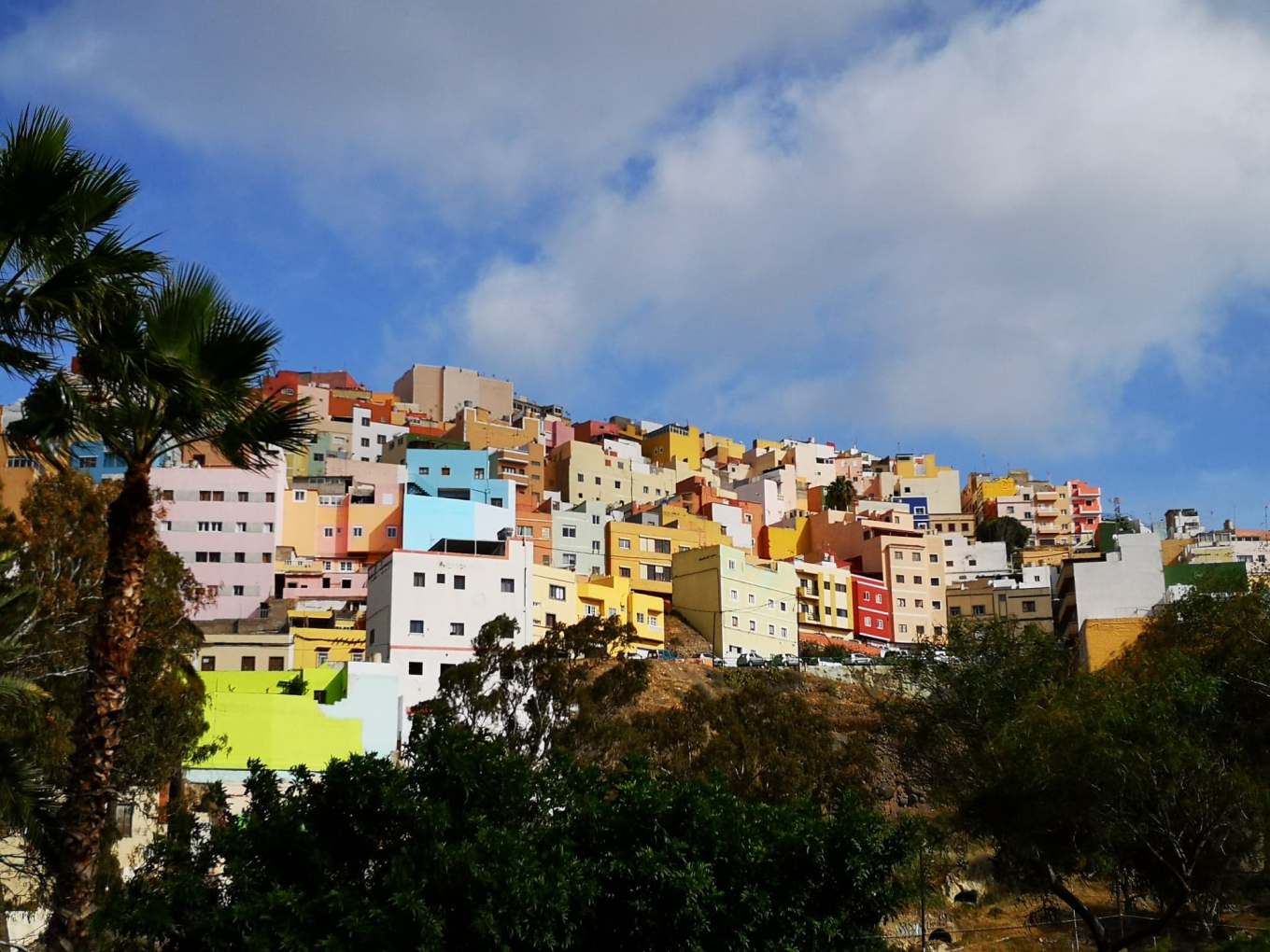 58596756_371519133463357_4340064499852640256_n