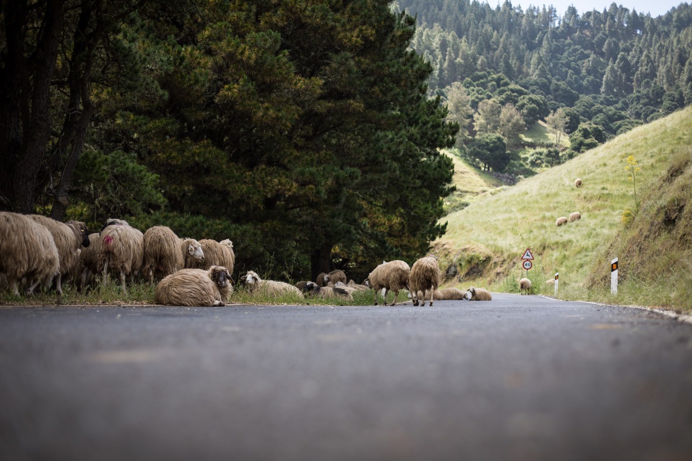 58704246_2297581060480869_549157387504713728_n