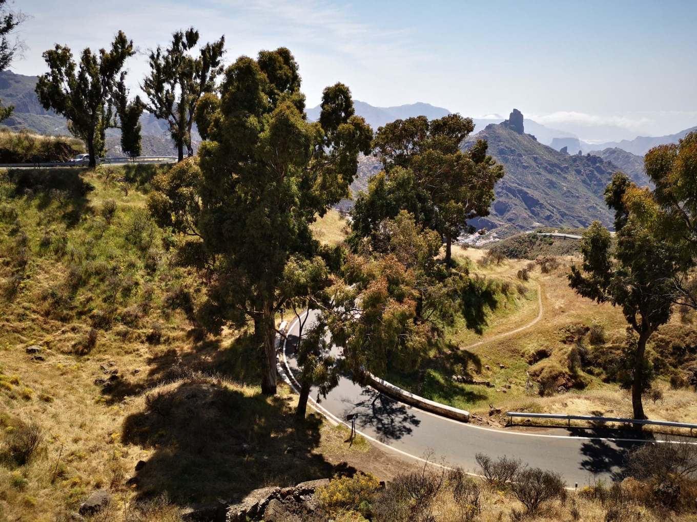 58961521_334383800593509_5888564432430170112_n