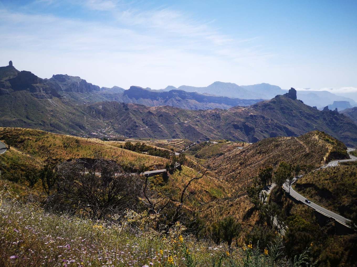 59457975_311406652868805_4138589452308054016_n