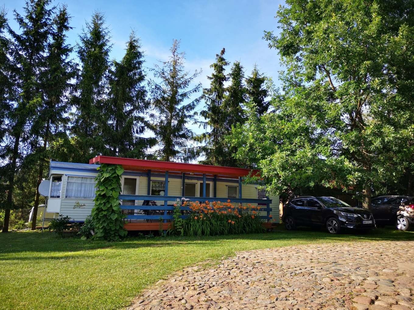 65131064_469592183613413_8424891810702163968_n