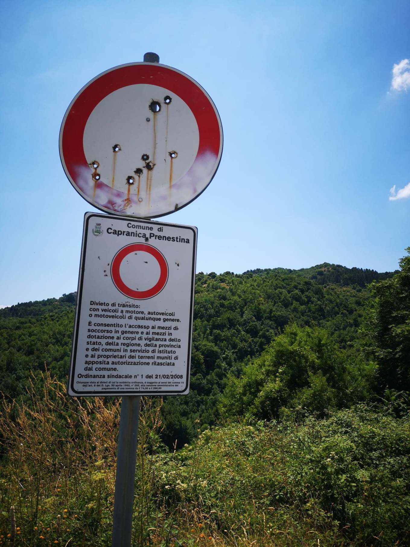 67032711_2442811732642636_4322410582243278848_n