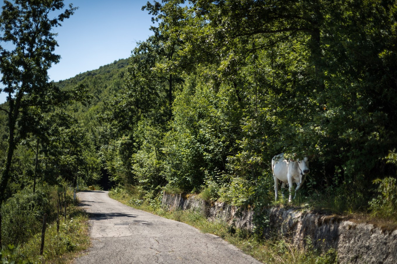 67203070_2301098740128801_2590723048881520640_n