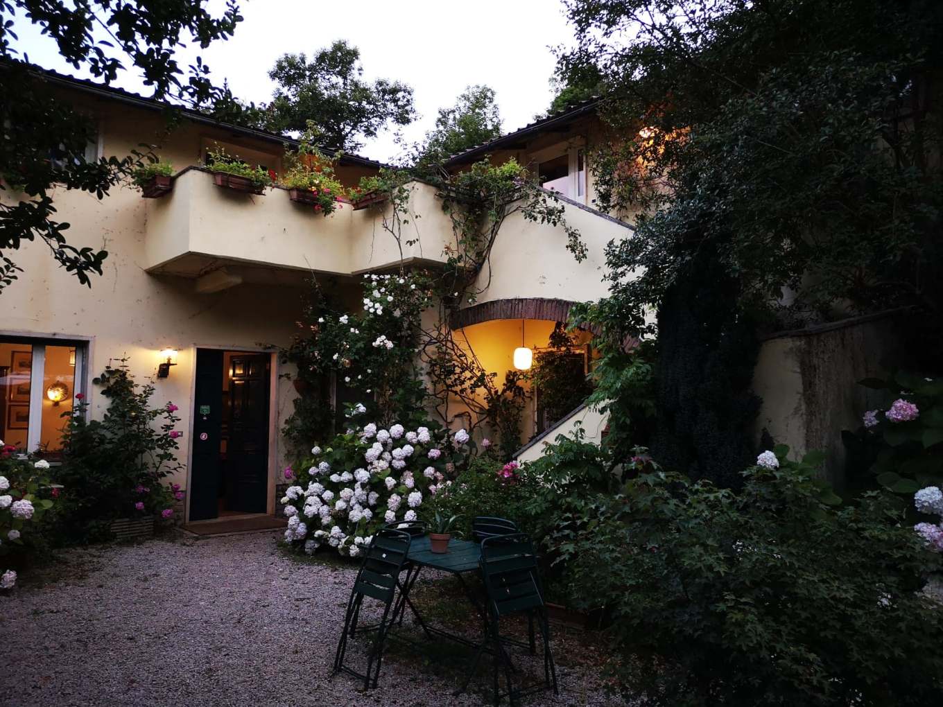 67375445_440958383414518_7325626658214379520_n