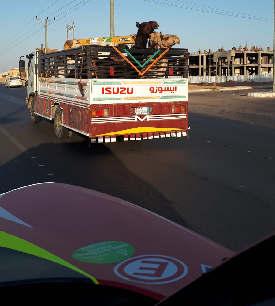 WhatsApp Image 2021-01-04 at 14.42.07