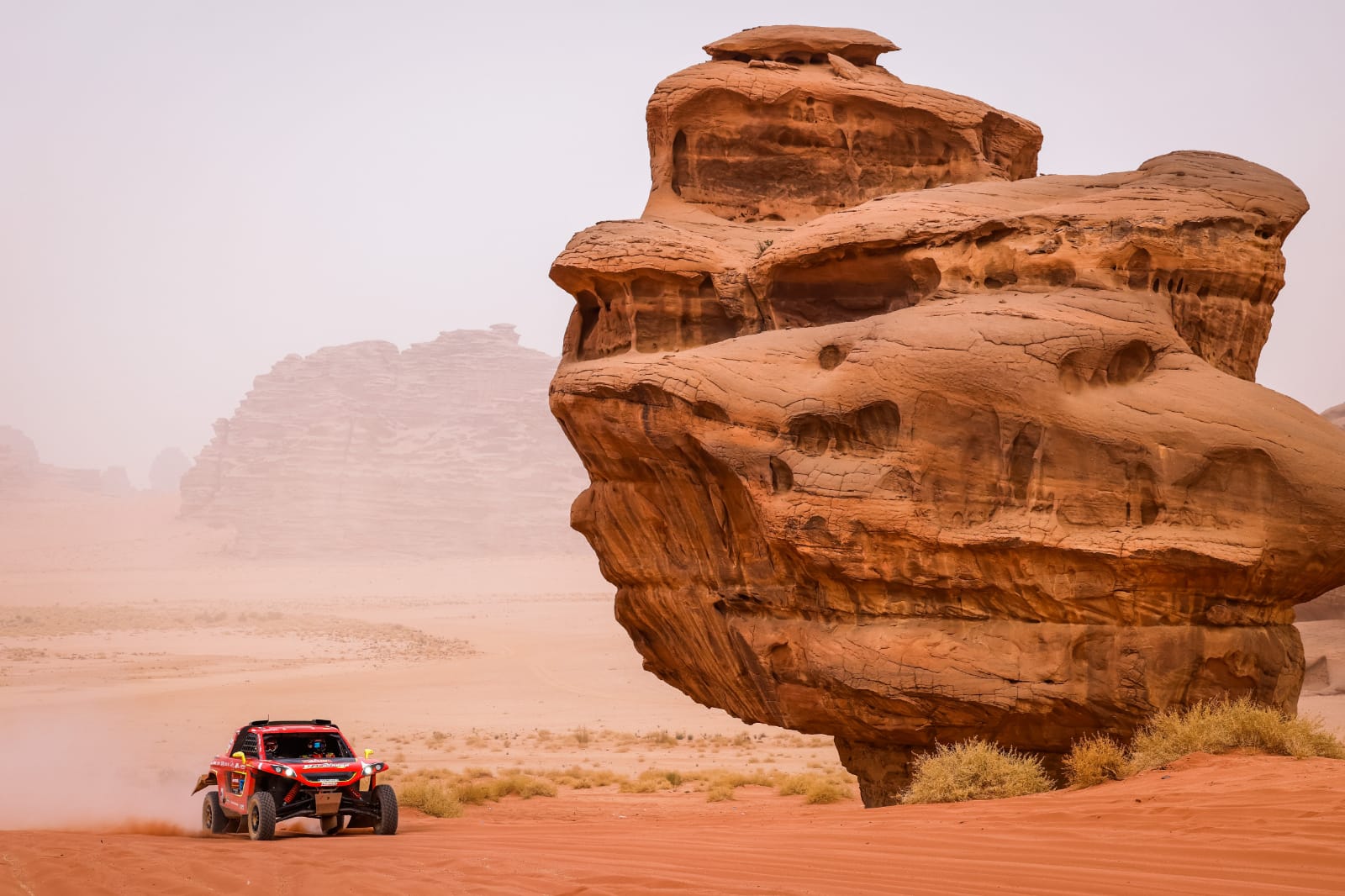 WhatsApp Image 2021-01-13 at 18.58.23