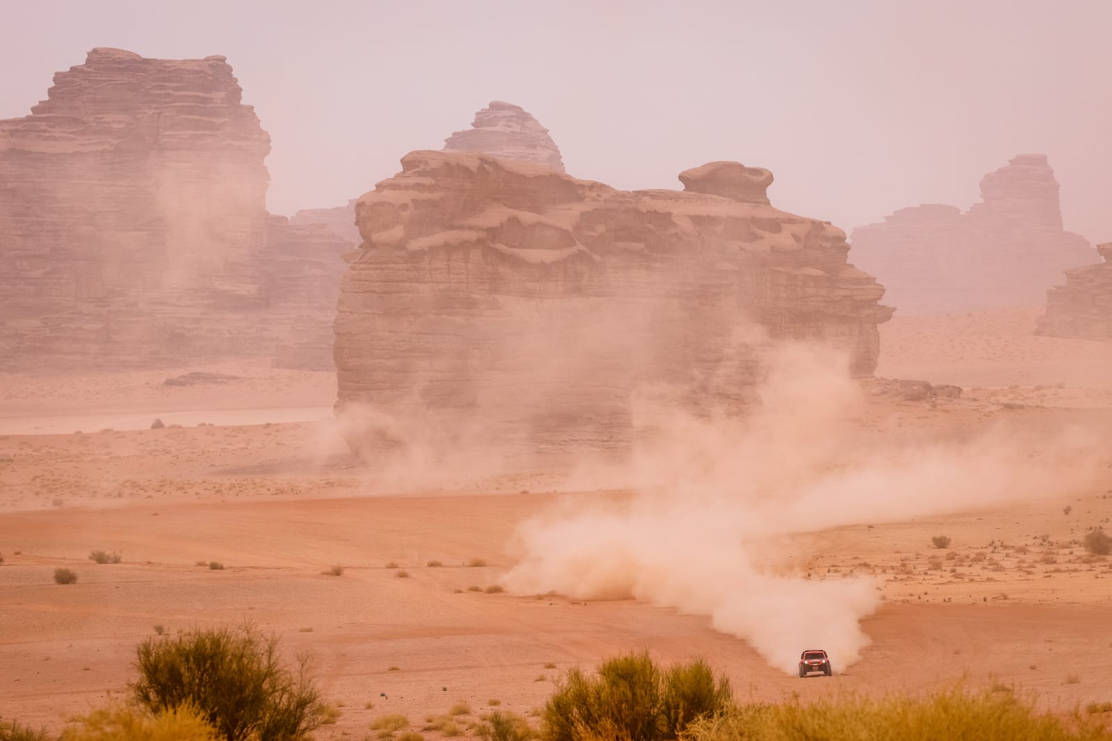 WhatsApp Image 2021-01-13 at 18.58.43