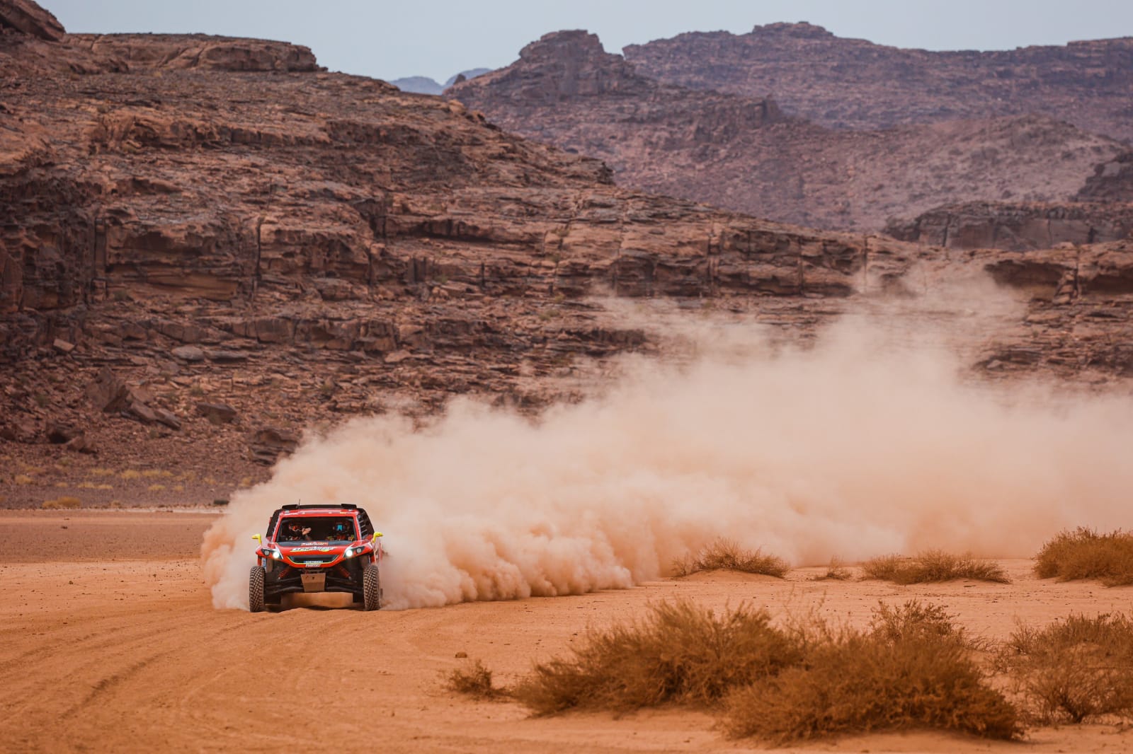 WhatsApp Image 2021-01-13 at 19.01.12