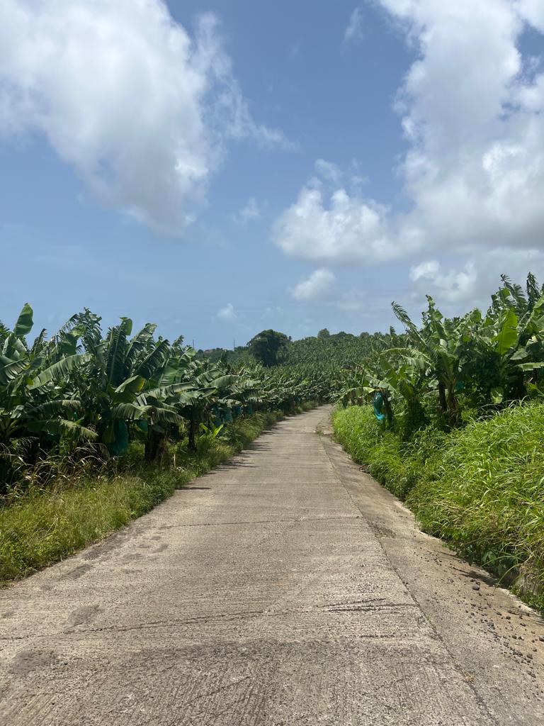 WhatsApp Image 2023-07-16 at 11.46.13