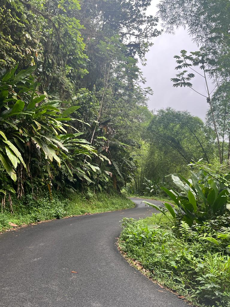 WhatsApp Image 2023-07-16 at 11.46.27