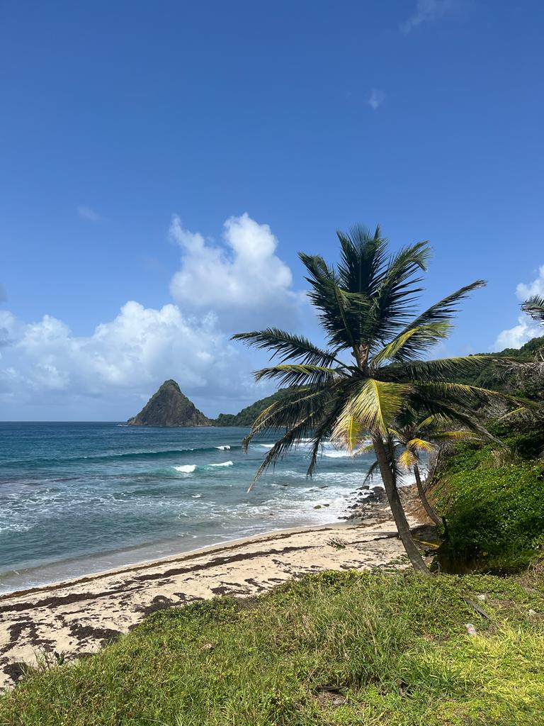 WhatsApp Image 2023-07-18 at 02.43.09 (1)