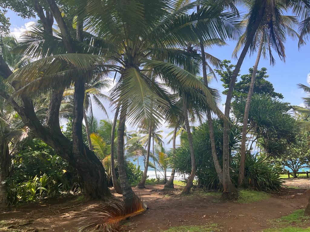 WhatsApp Image 2023-07-18 at 02.43.09