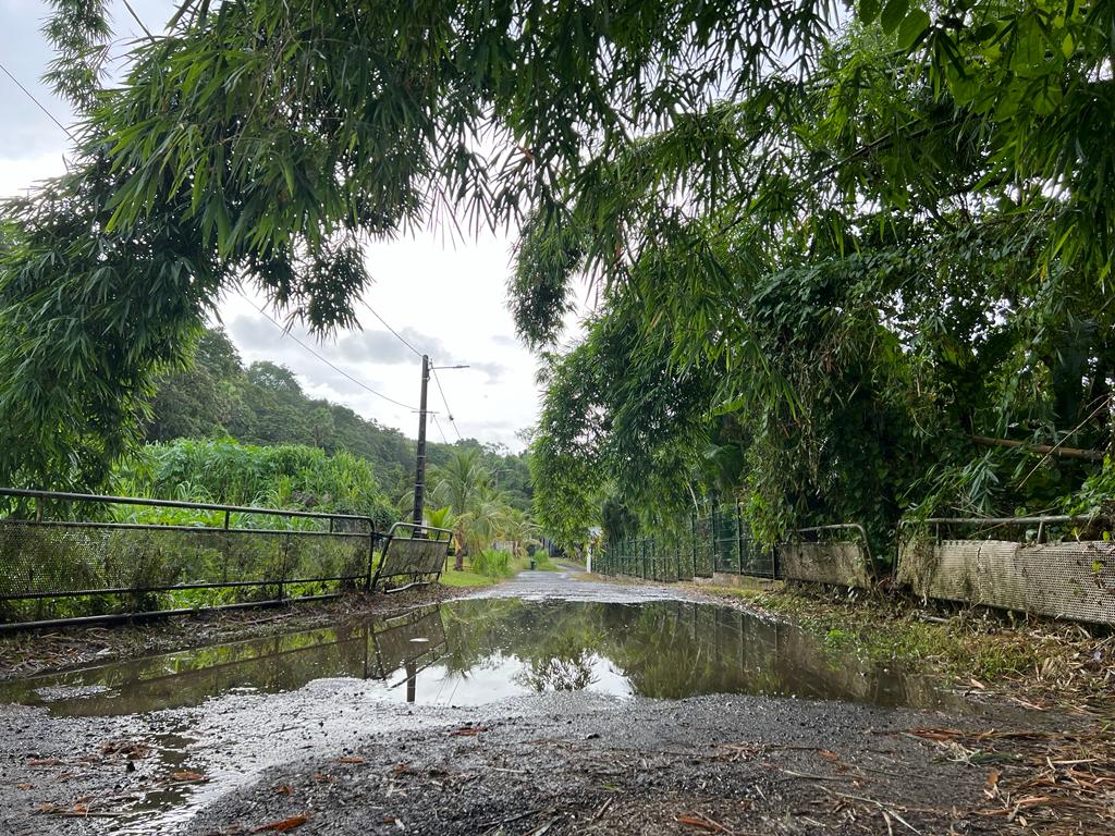 WhatsApp Image 2023-07-19 at 00.15.45 (1)